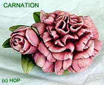 Carnation Prototype