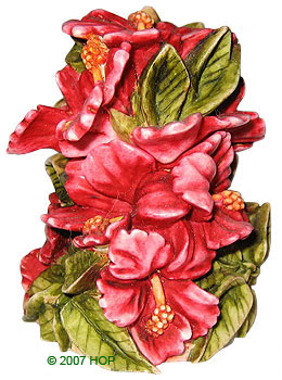 'Hibiscus' Prototype