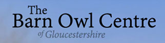 The Barn Owl Center of Gloucestershire