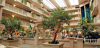 Embassy Suites Atlanta - Airport: Atrium